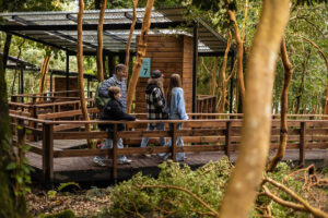 Familia recorriendo pasarelas de madera hacia las tinajas privadas, el mejor panorama familiar en Cochamó.