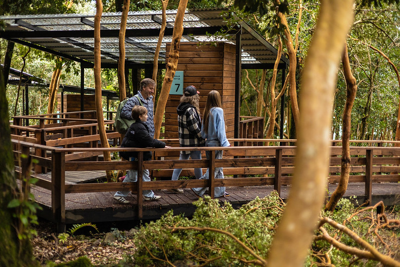 Familia recorriendo pasarelas de madera hacia las tinajas privadas, el mejor panorama familiar en Cochamó.