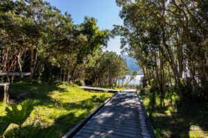 Un sendero de tablas de madera con malla antideslizante atraviesa el bosque nativo de Cochamó bajo la luz del sol.
